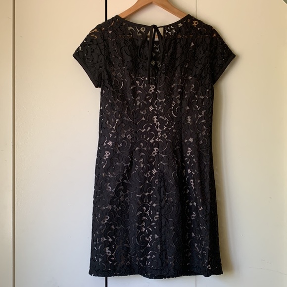 Lace Dress NWOT Loft - Picture 2 of 5